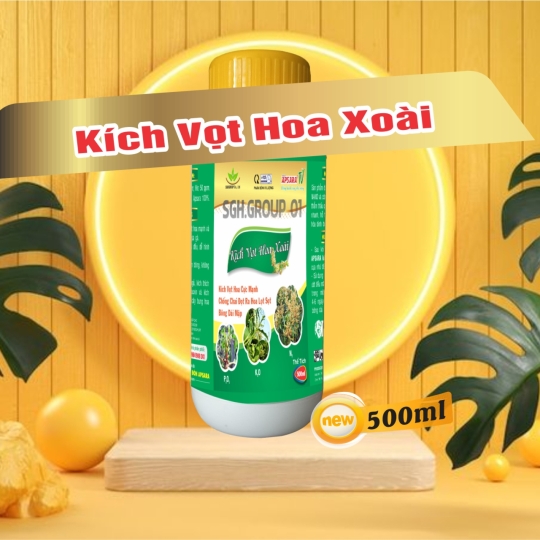 Kích vọt hoa xoài 500ml