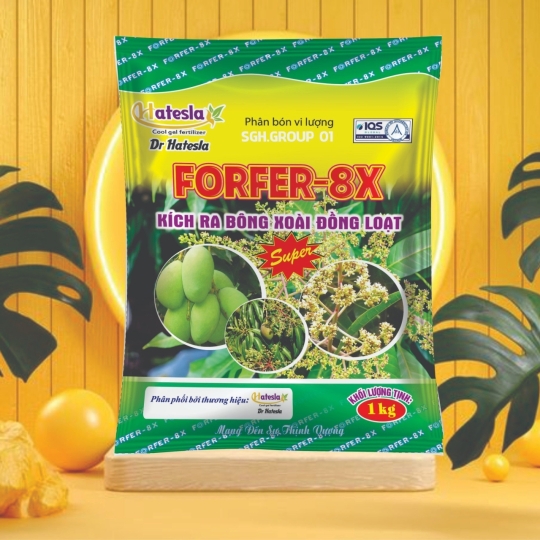 FORFER-8X kích ra bông xoài đồng loạt 1kg