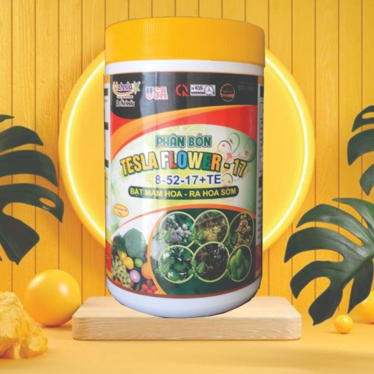 8-52-17 phân hoá tạo mầm hoa