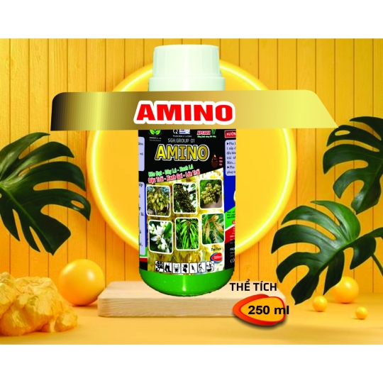 AMINO CHAI 250ml