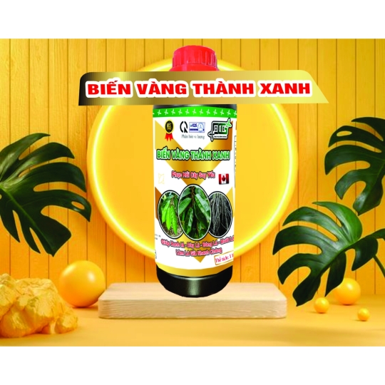 BIẾN VÀNG THÀNH XANH CHAI 1L