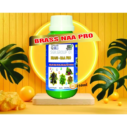 BRASSINOLINE BRASS NAA PRO CHỐNG RỤNG SINH LÝ TRÊN CÂY SẦU RIÊNG DG