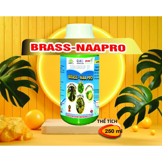 BRASSINOLINE BRASS NAA PRO CHỐNG RỤNG SINH LÝ TRÊN CÂY SẦU RIÊNG