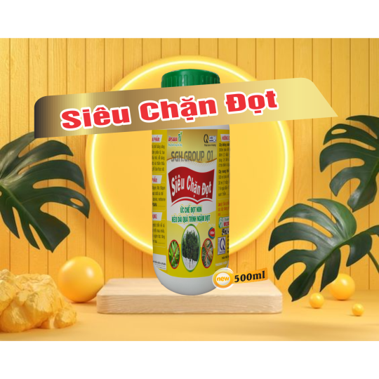 SIÊU CHẶN ĐỌT