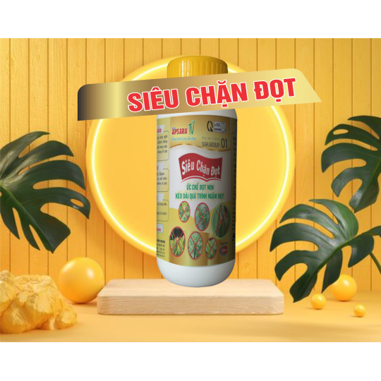 SIÊU CHẶN ĐỌT